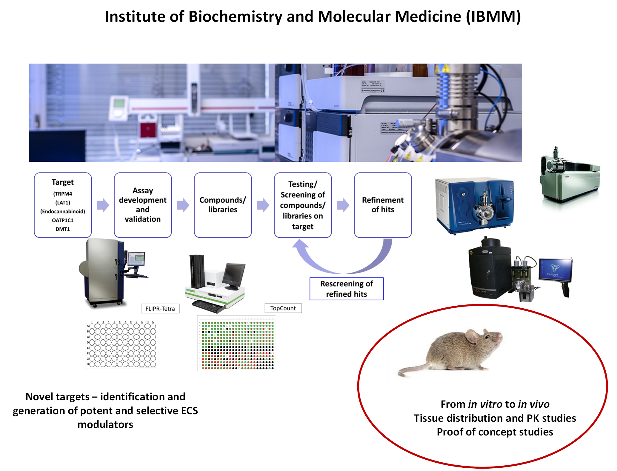 Screening, Profiling and Analytical Facility