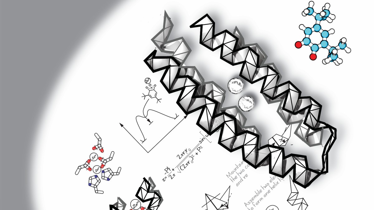 relationship between the structure, dynamics and function of proteins