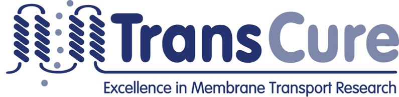 NCCR TransCure Logo