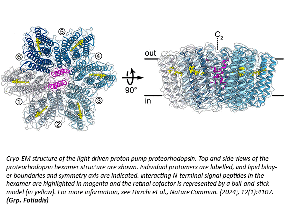 Titleimage: Institute of Biochemistry and Molecular Medicine (IBMM)
